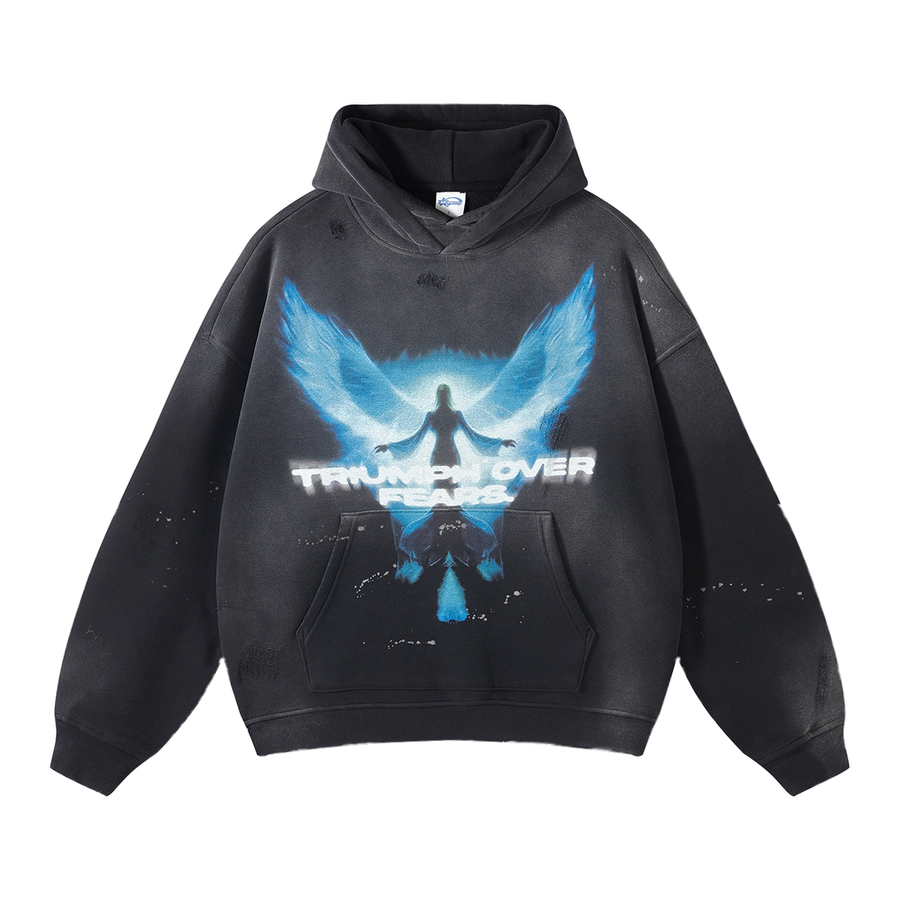 TRIUMPH OVER FEARS HOODIE